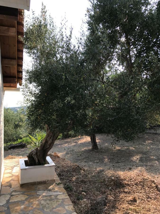 Ferienhaus Olive Garden Kyparissia Extérieur photo